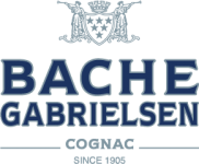 logo-bg-blue