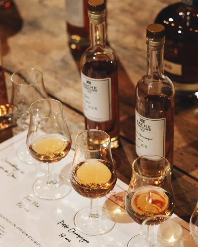 Accept the Cellar Master’s challenge and try to uncover the secrets of his blend ! 🥃 Come and discover, through play, the diversity of our lands. 

This unique experience will allow you to step into the shoes of the Cellar Master: take up the challenge and try to recompose the blend created by Jean-Philippe Bergier. 👃 

Please drink responsibly.