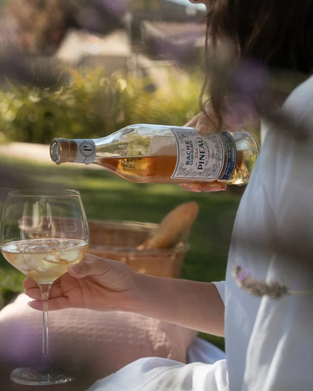 Summer picnic vibes. 🌾
Just ice and a glass of chilled White Pineau des Charentes : fruity, refreshing, and effortlessly delightful. 🌞

Please drink responsibly.